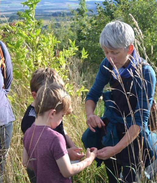 Adult teaching children foraging on Alyth Hill