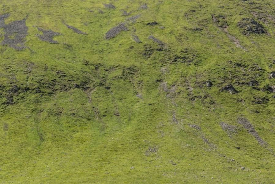 The Monega - a hill near Braemar