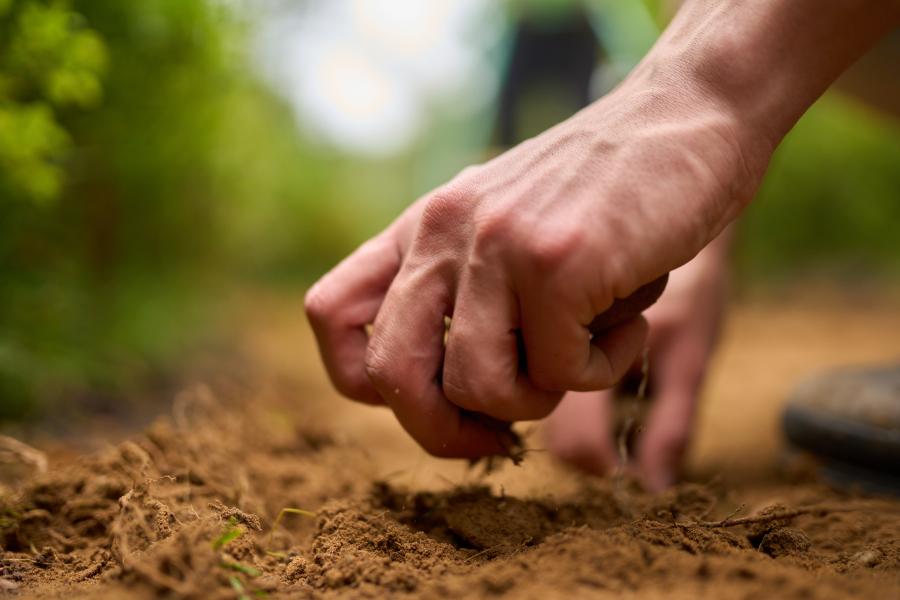 A hand lifting up soil
