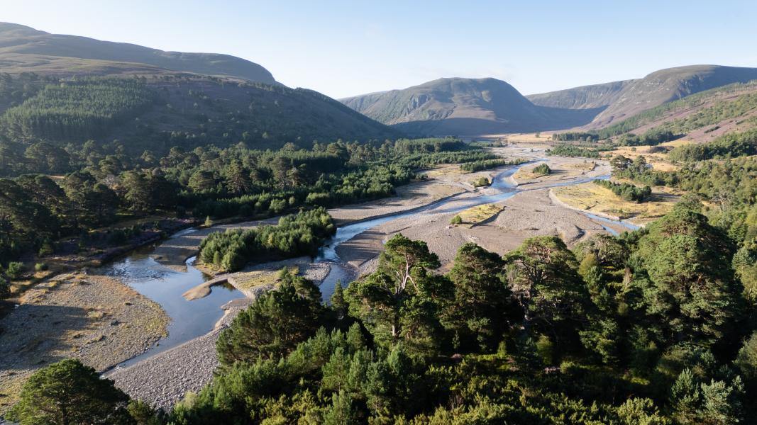 A valley with river running through and green trees either side.