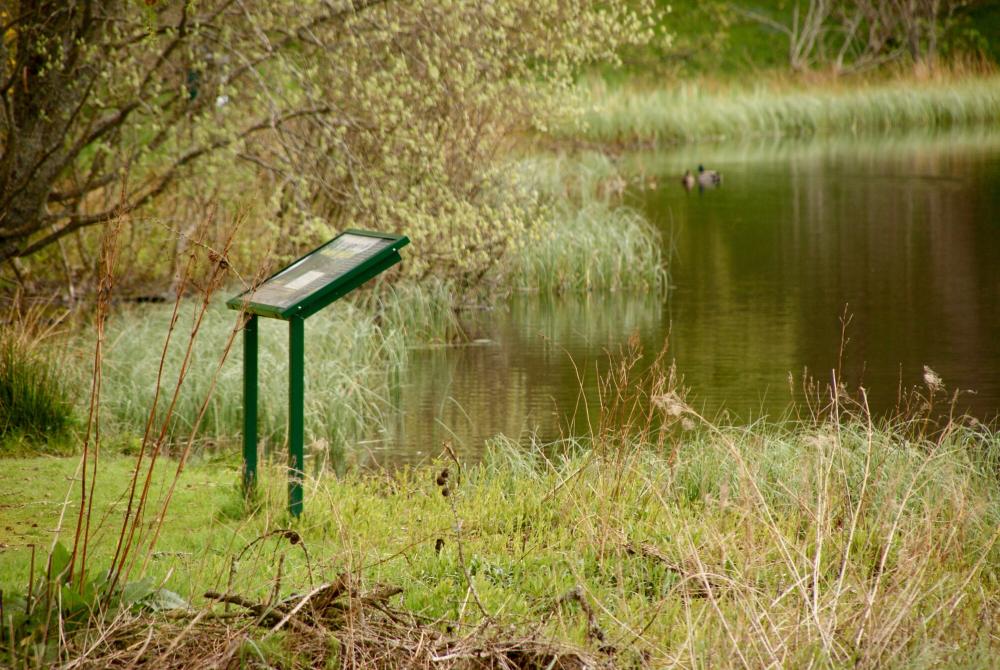 Information board at the side of Loch Imrich.