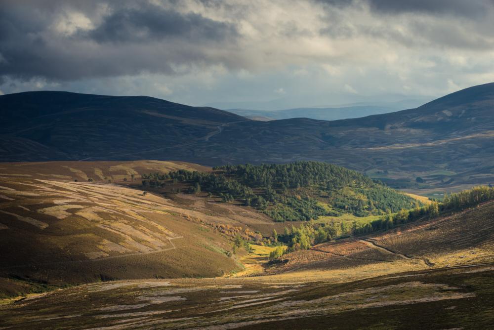 Landscape scene in Strathdon