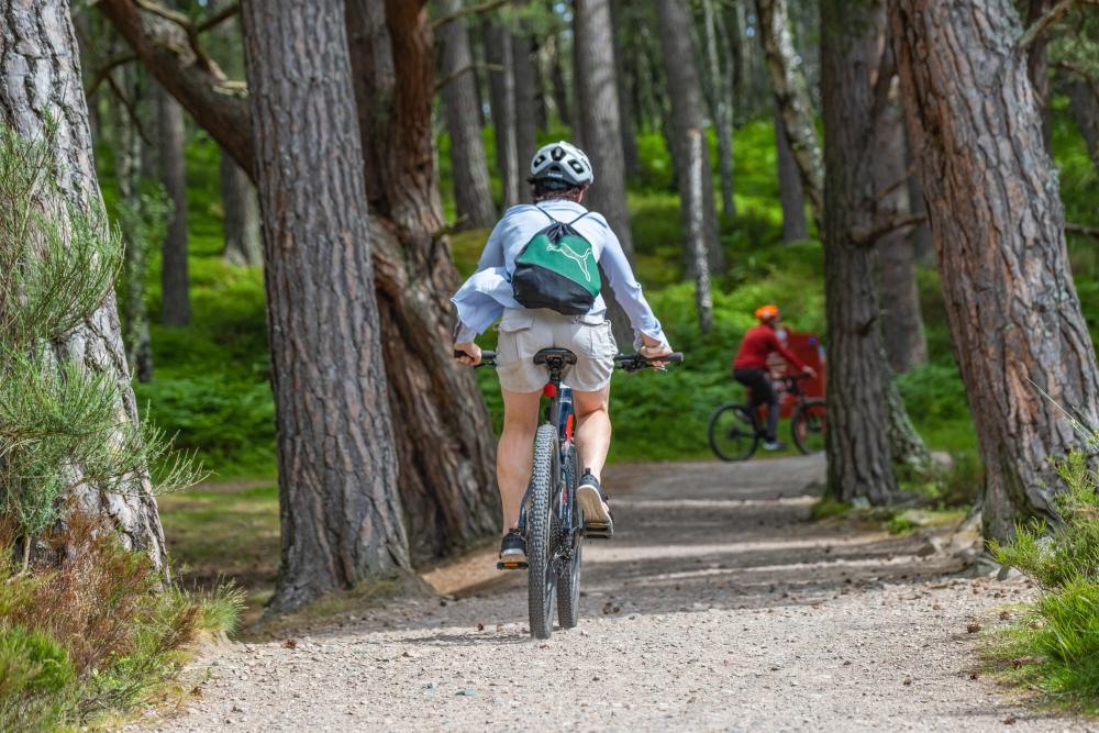 A cyclist riding a mountain bike on a forest trail.
