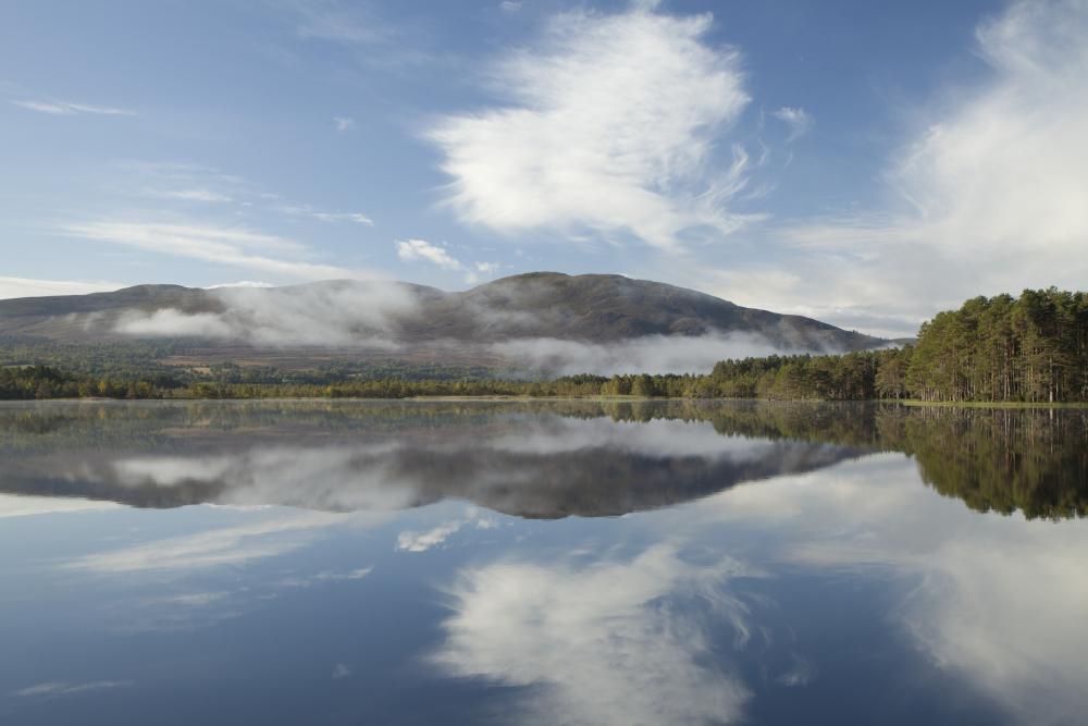 Mirror image of mountains and trees on a very calm Loch Garten
