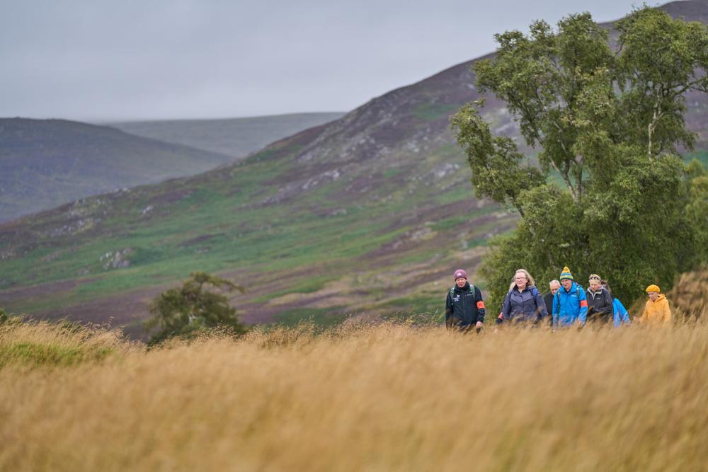 Group of people walking in long grass with tree behind and mountains in the background.