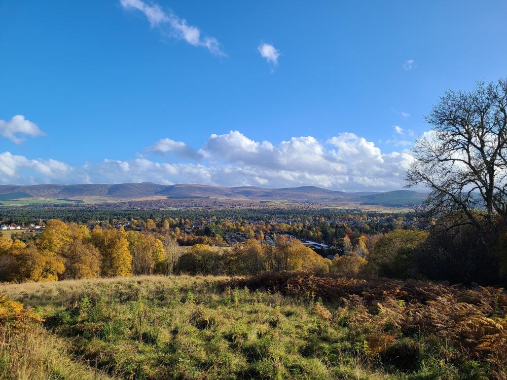 Elevated view over Grantown and surrounding area from the viewpoint.