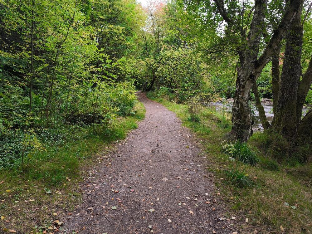 A level woodland path next to river in Nethy Bridge.