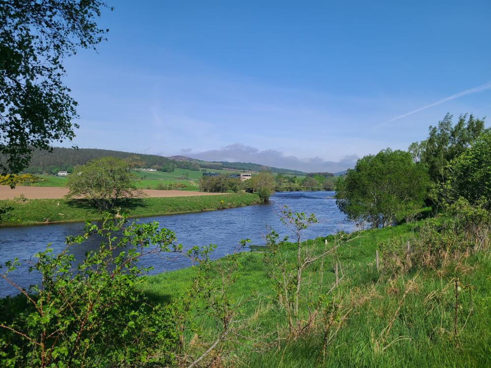 A view over the River Spey from the Speyside Way path.
