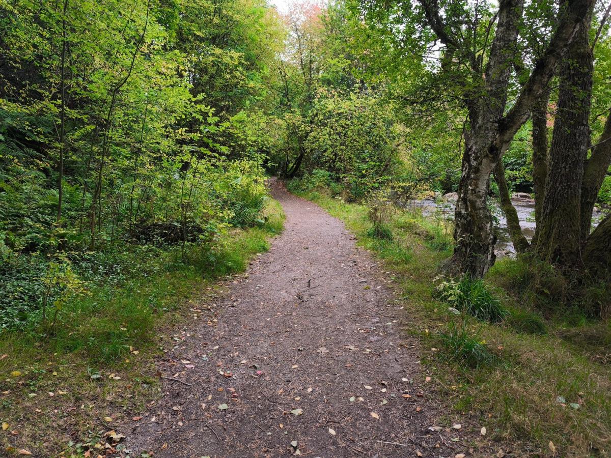 A level woodland path next to river in Nethy Bridge.