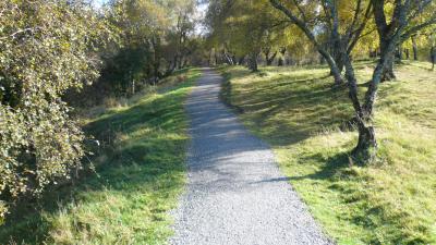 Woodland path section of the Aviemore orbital path with grass and trees on either side