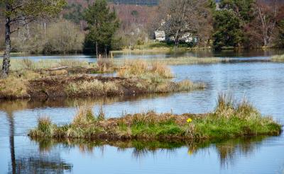 Milton Loch in Boat of Garten
