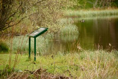 Information board at the side of Loch Imrich.