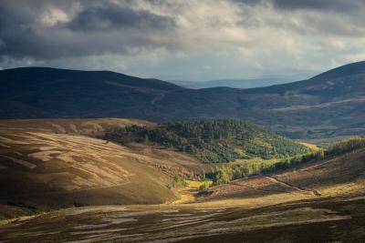Landscape scene in Strathdon