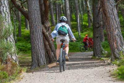 A cyclist riding a mountain bike on a forest trail.