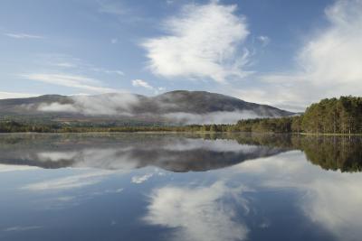 Mirror image of mountains and trees on a very calm Loch Garten