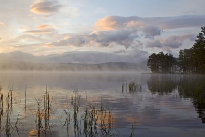 Mist hanging over the loch at dawn.