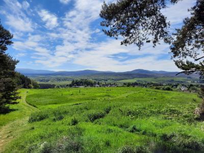View across a grassy field from Tom Baraidh woods over Kingussie.