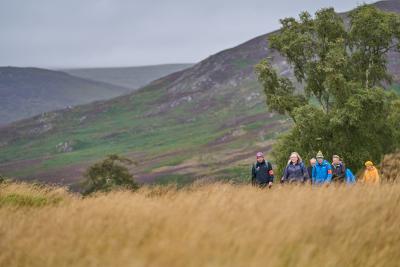 Group of people walking in long grass with tree behind and mountains in the background.