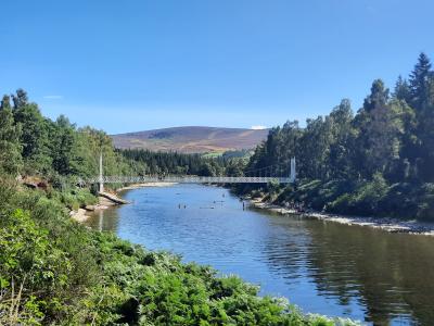 Cambus o May bridge across the River Dee with people swimming below it.
