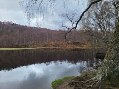 Autumnal view of a lochan with trees and hill behind.