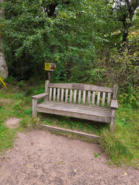 A wooden bench on the Riverside Trail in Nethy Bridge.