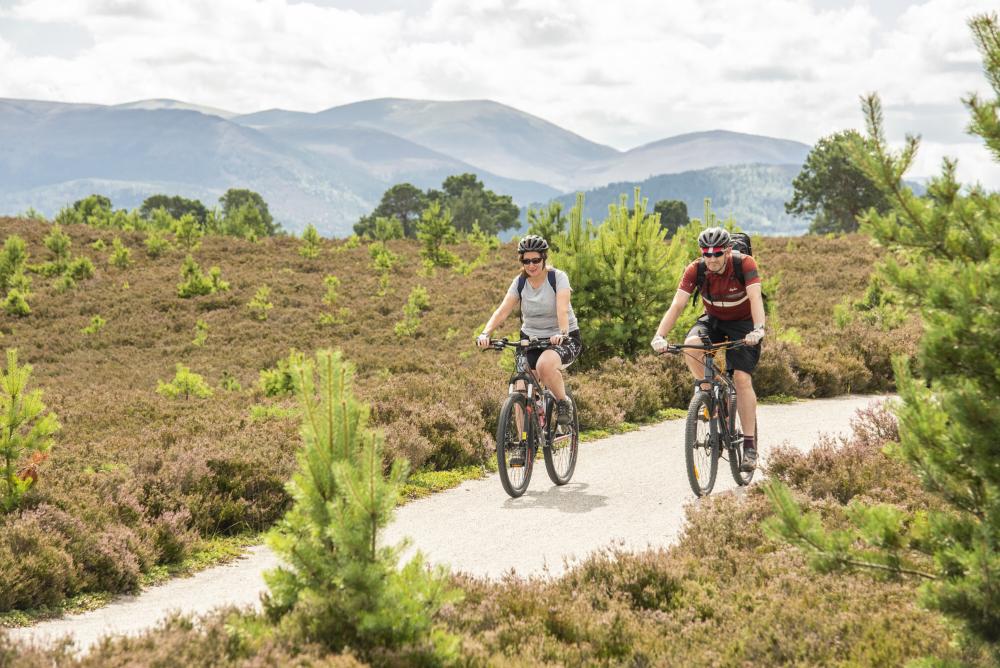 Two cyclists on the Speyside Way near Aviemore. Either side of the trail there is natural regeneration of woodland.