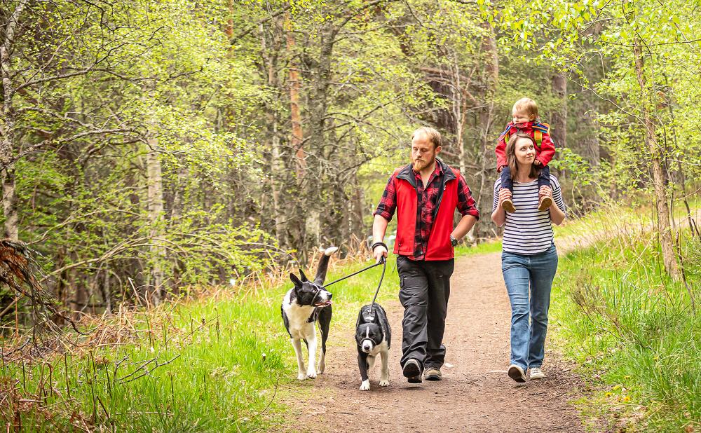 A family walking with 2 dogs on the Old Logging Way.