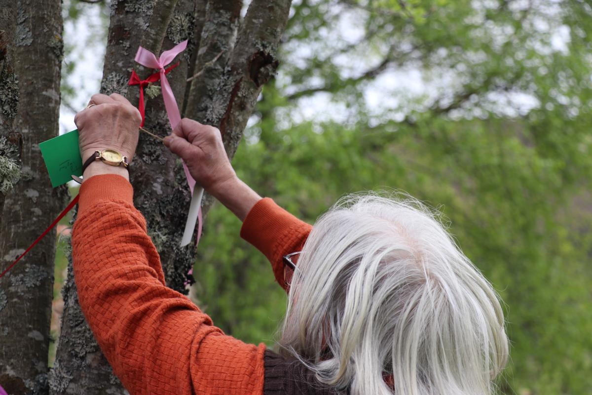 A person with white hair hanging a ribbon on a tree