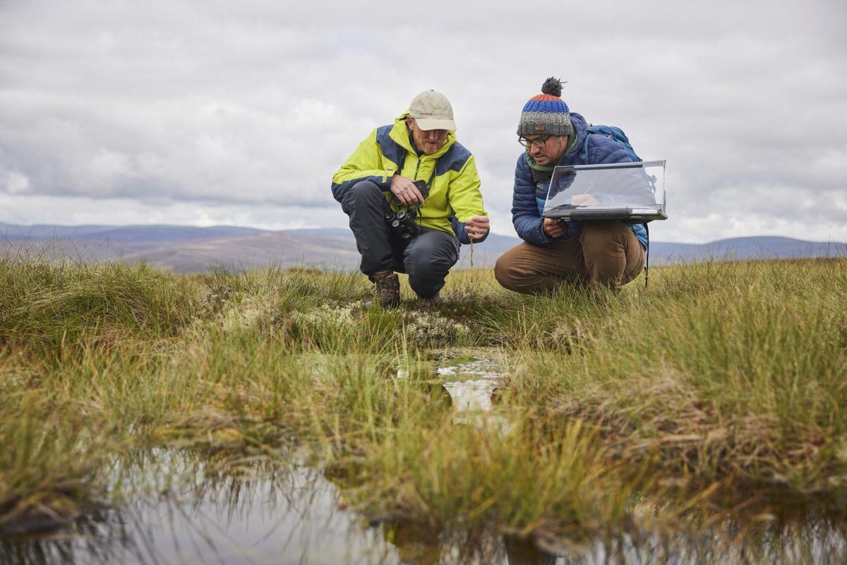 Two members of the peatland team crouched over a peat bog taking notes