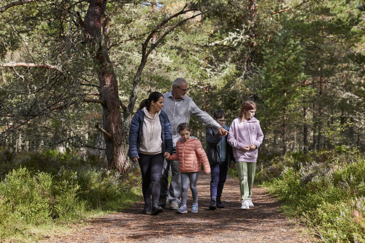 A family of five on a walk in a woodland
