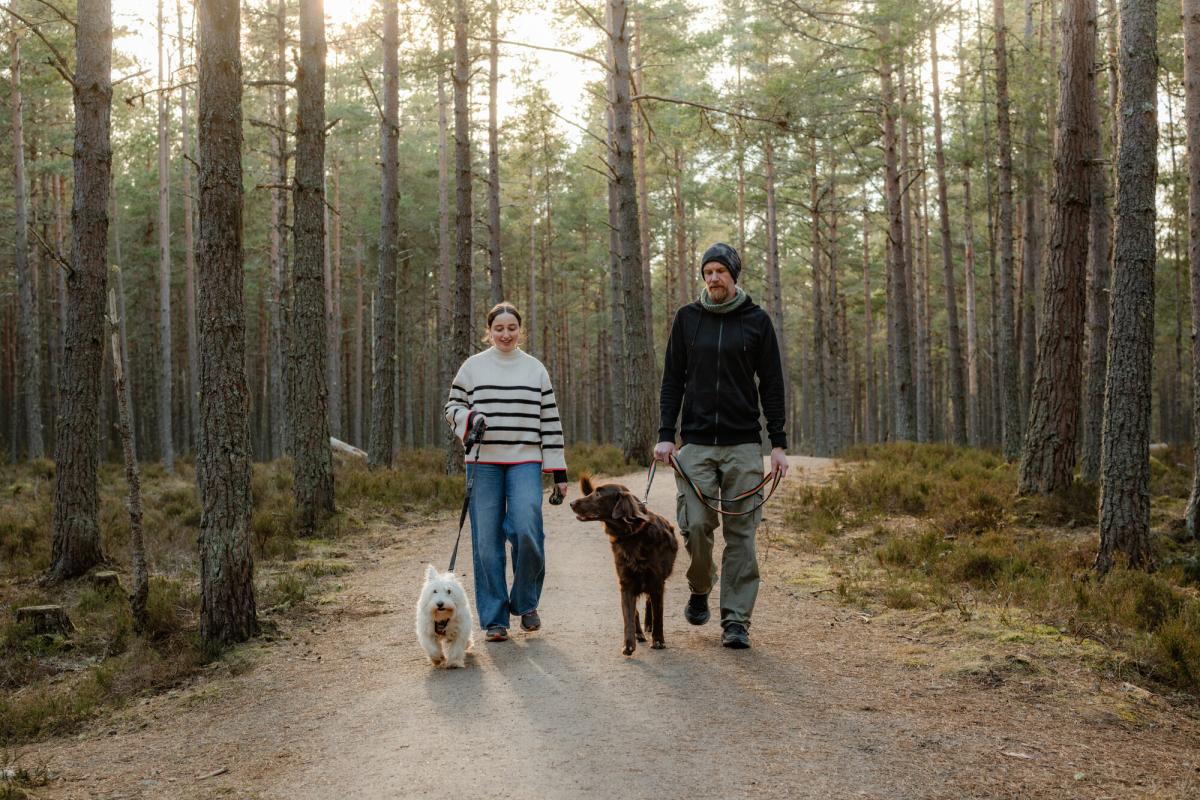 Two walkers with dogs on leads in woodland.