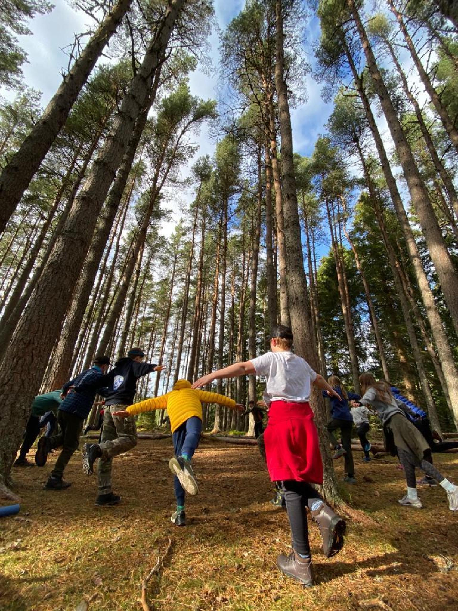 Junior rangers exercising in the forest