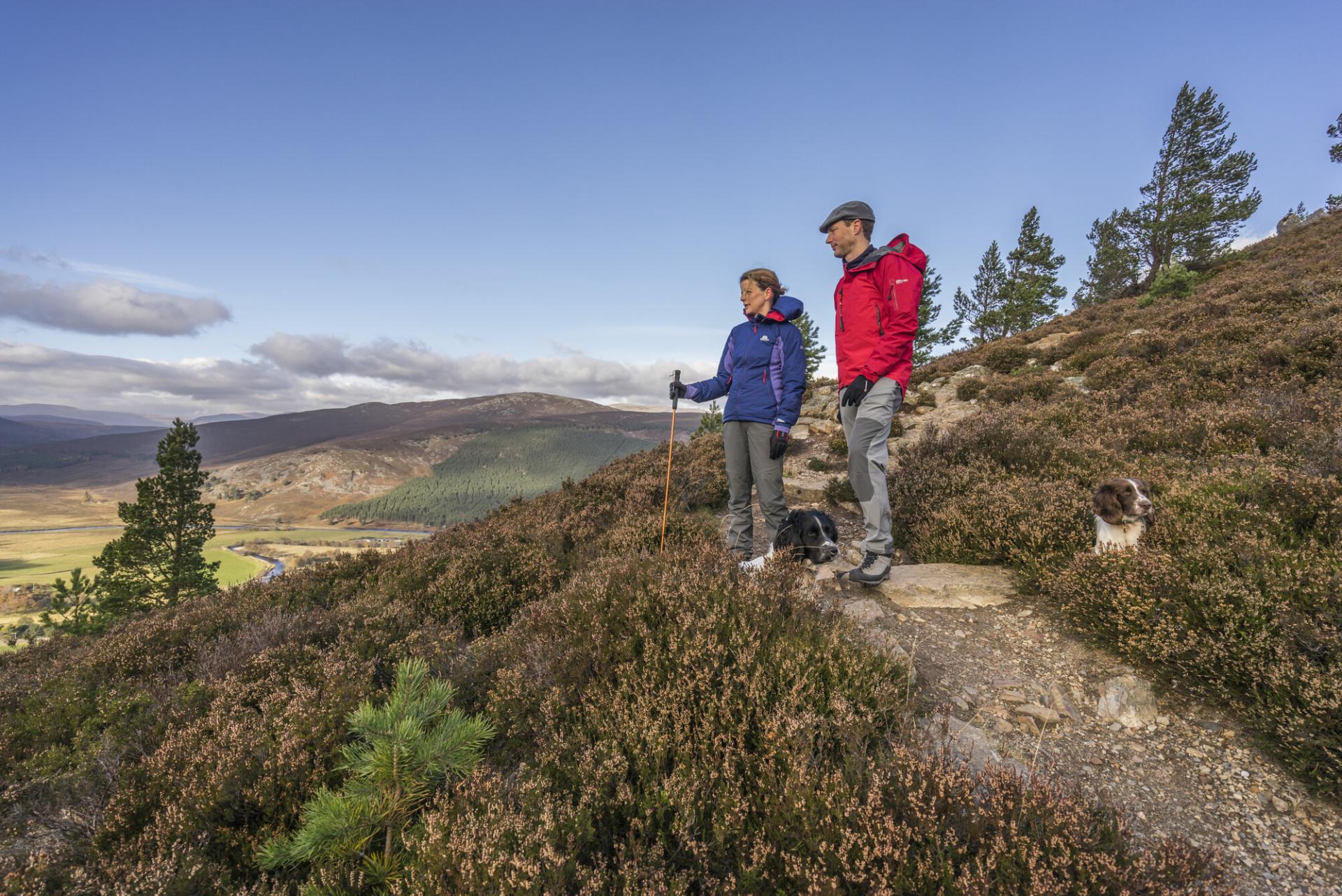 Two hillwalkers and their dogs enjoy the Braemar countryside