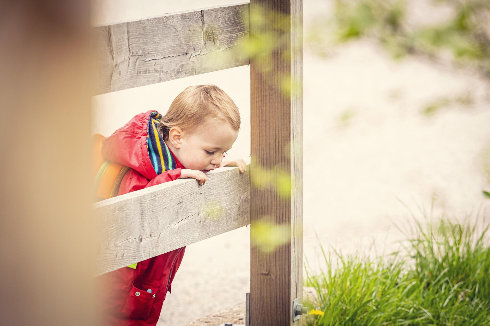 A small child looking over a fence