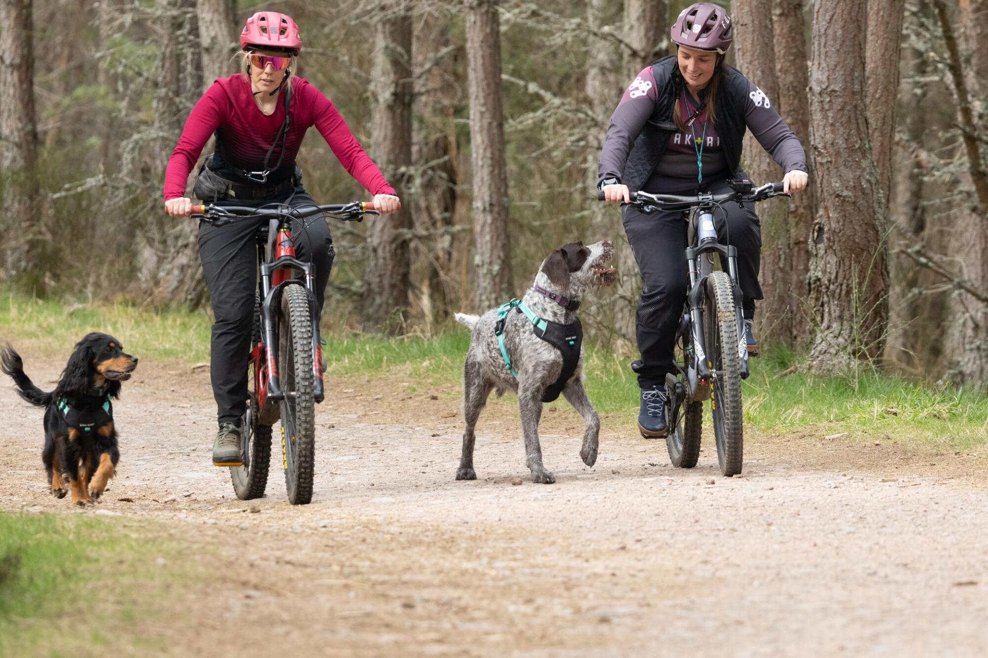 Kaz of Bark + Ride and her friend biking with their dogs, showing best practice with dogs while biking in spring