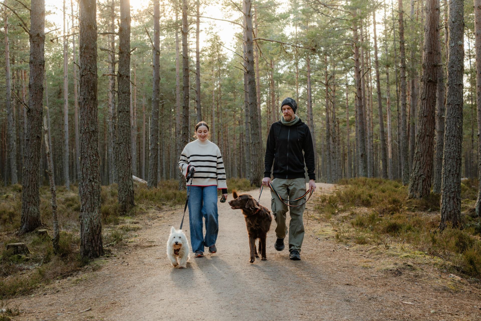 Two walkers with dogs on leads in woodland.