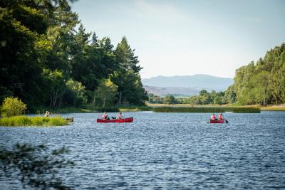 People in canoes on a loch with bright green reeds and trees at the edge of the photo