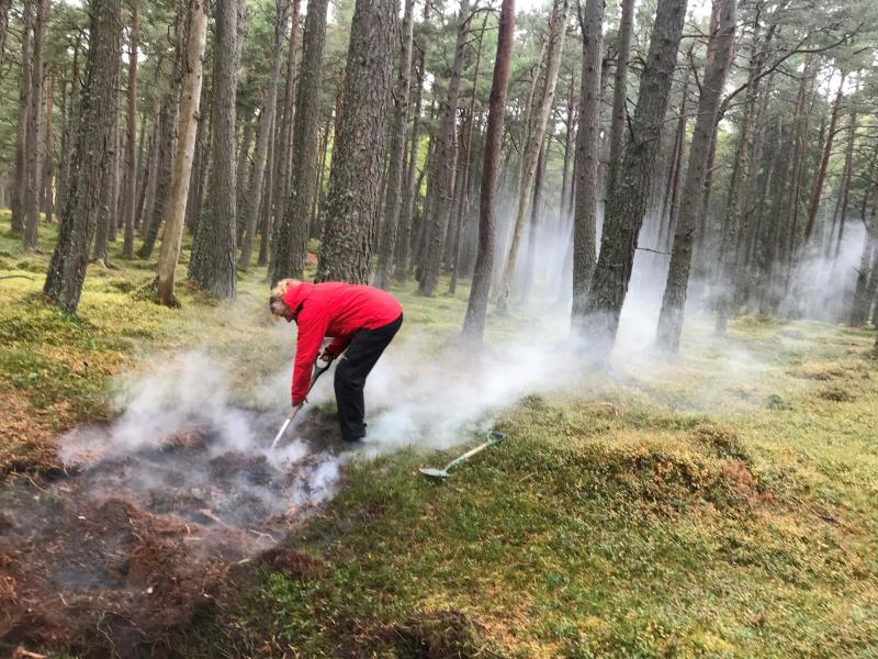 A ranger dealing with the smouldering ground after a wildfire.