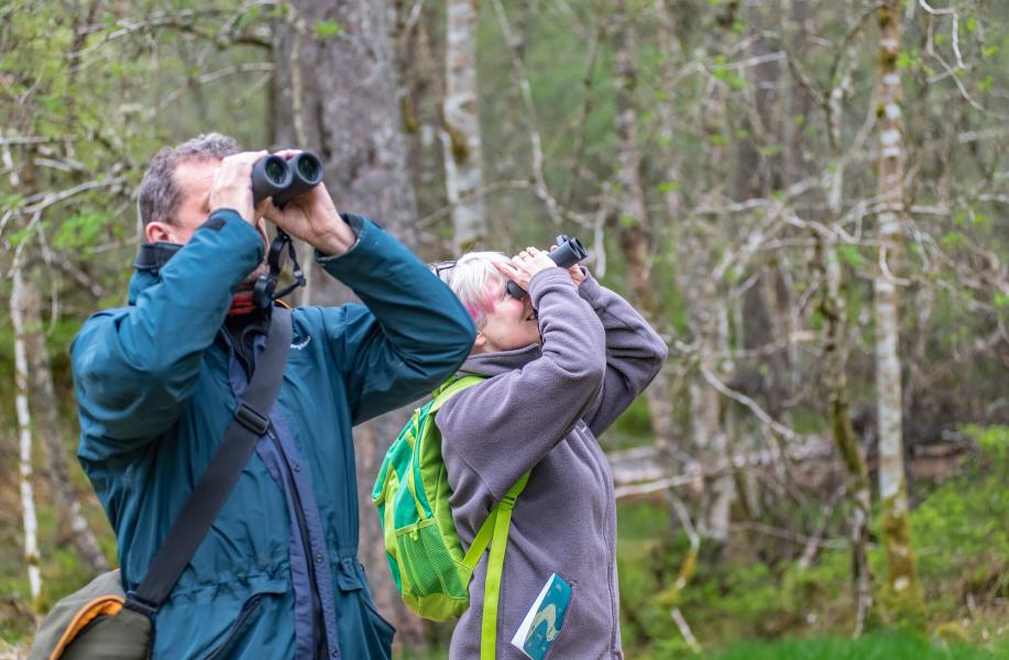 A couple look through binoculars.
