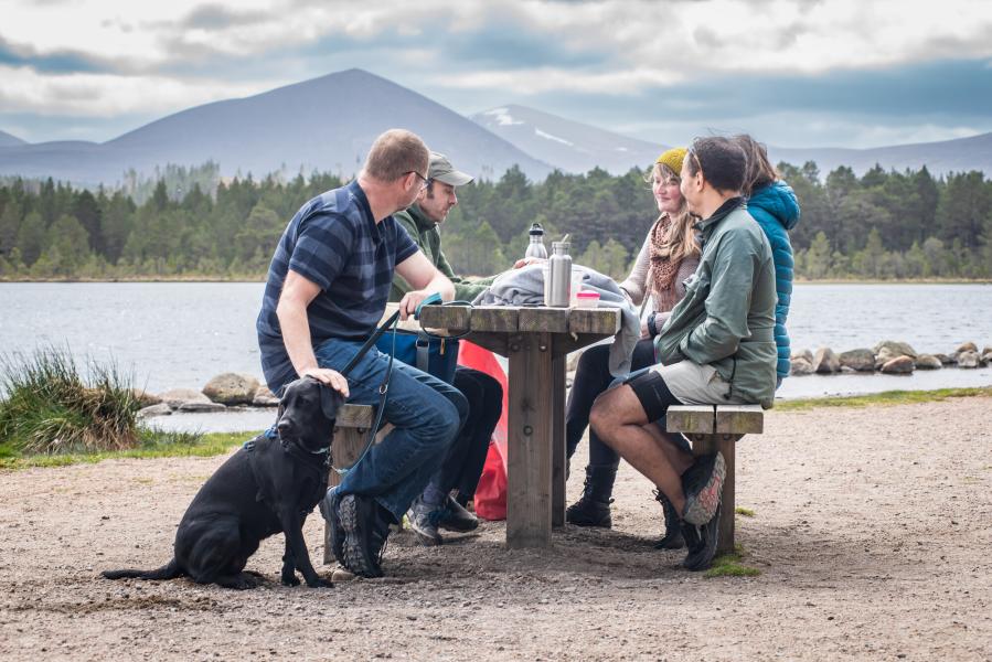 Five people and a dog around a picnic table on the beach at Loch Morlich.