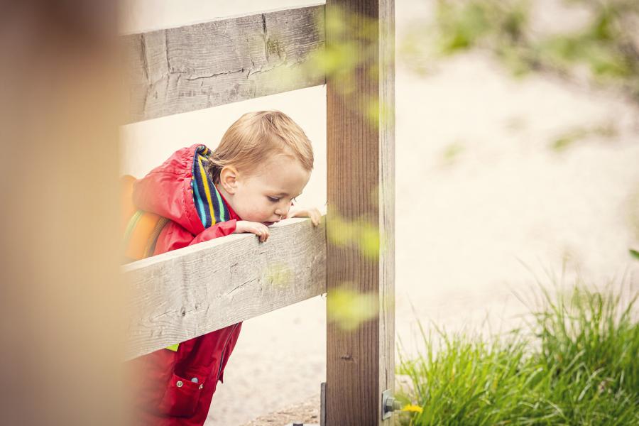 A small child looking over a fence