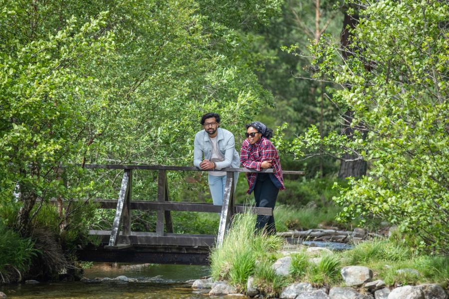 2 people leaning on a small bridge over a stream of water surrounded by trees
