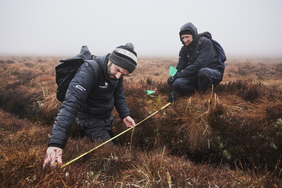 Two people from the peatland team survey the landscape