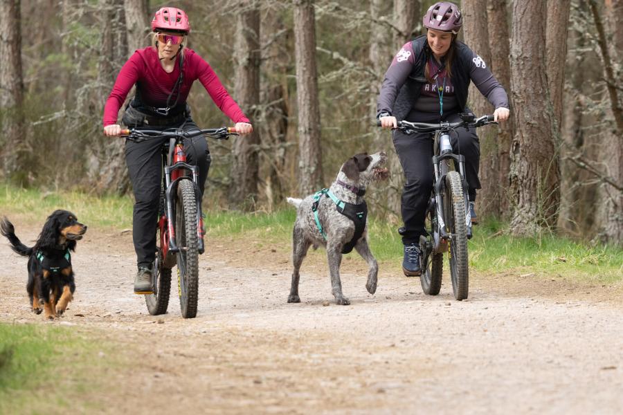 Kaz of Bark + Ride and her friend biking with their dogs, showing best practice with dogs while biking in spring