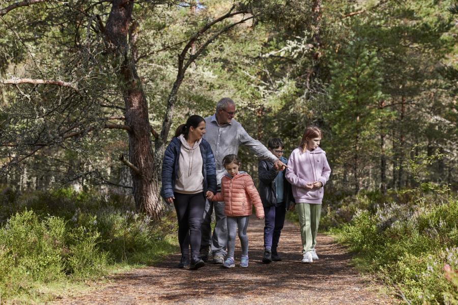 A family of five on a walk in a woodland