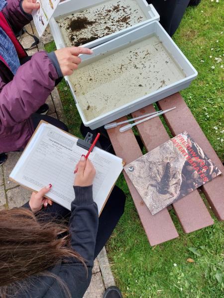 Surveying pond life in Alford