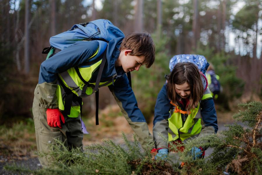 Junior Rangers clearing overgrown foliage from beside the Dava Way long distance route.
