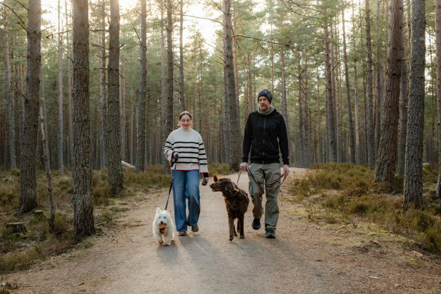 Two walkers with dogs on leads in woodland.