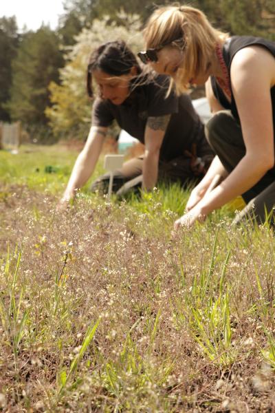 People planting at a tree nursery