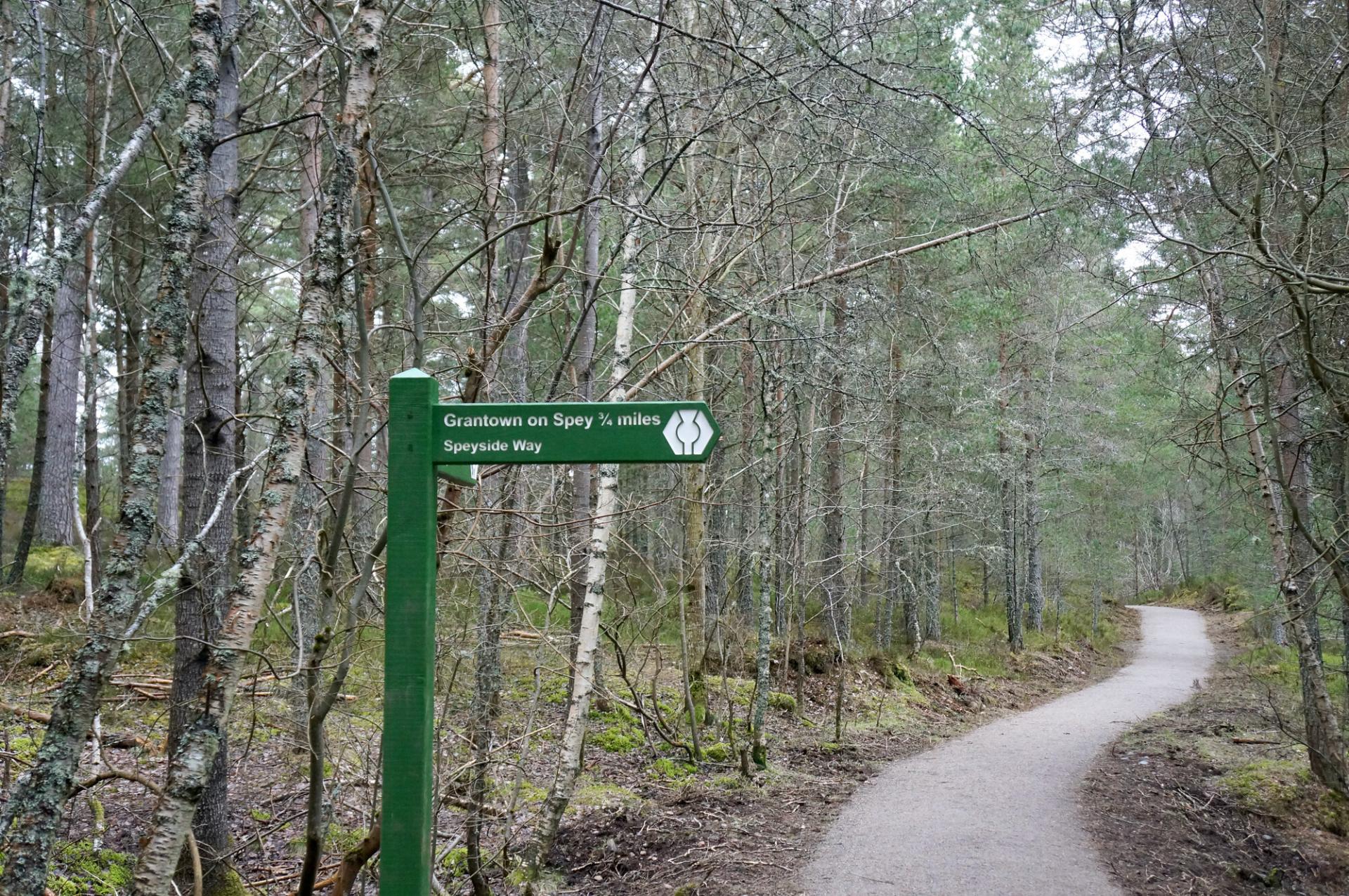 A green sign to Grantown-on-Spey with a path going into the distance and trees on either side.